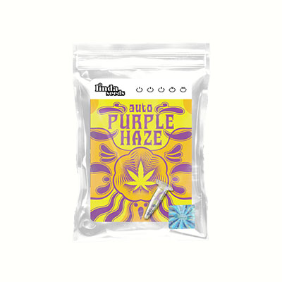Auto Purple Haze graines > Linda Seeds | Graines de cannabis auto  |  Sativa